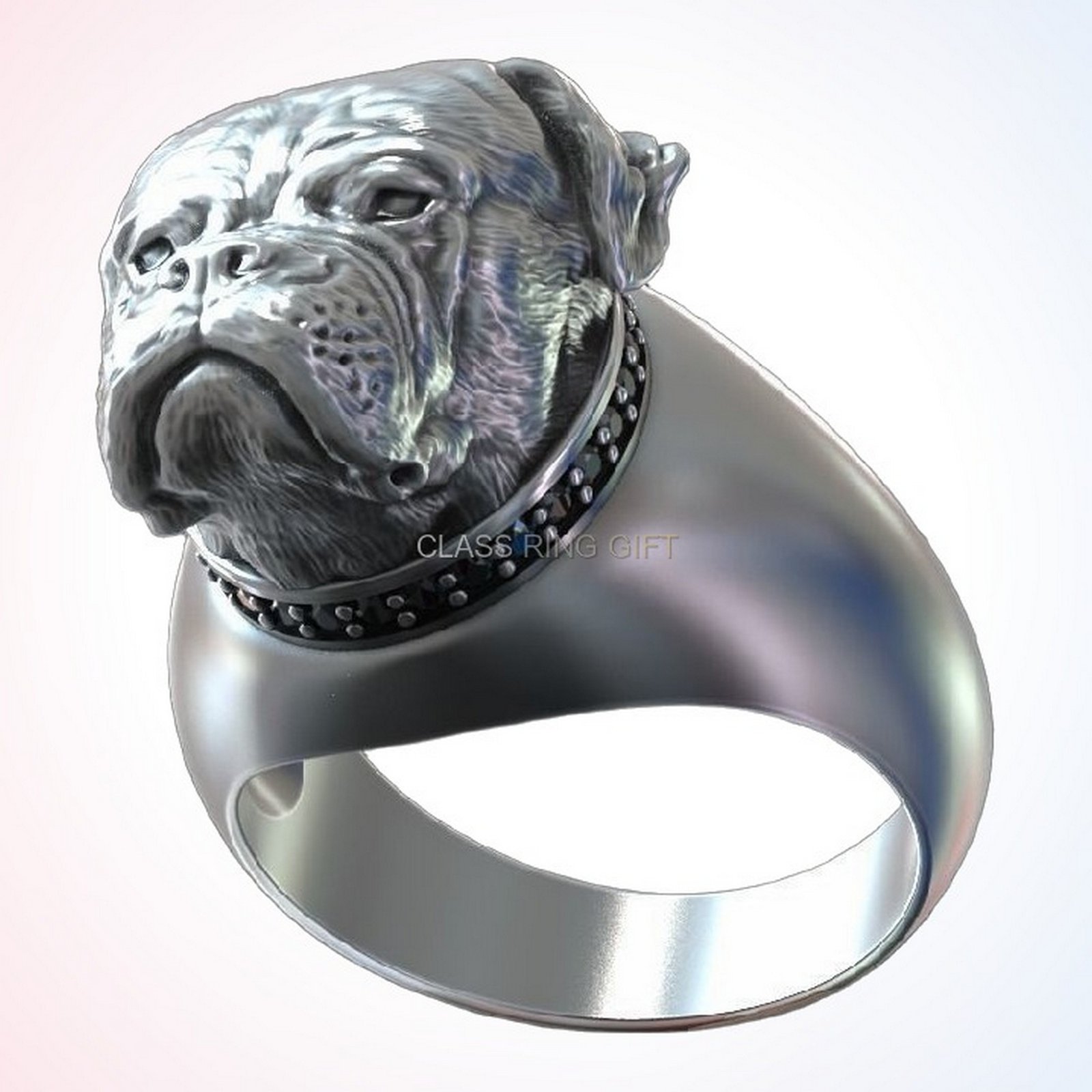 Gift for him american bulldog ring, oxidized 925 silver with beaded collar