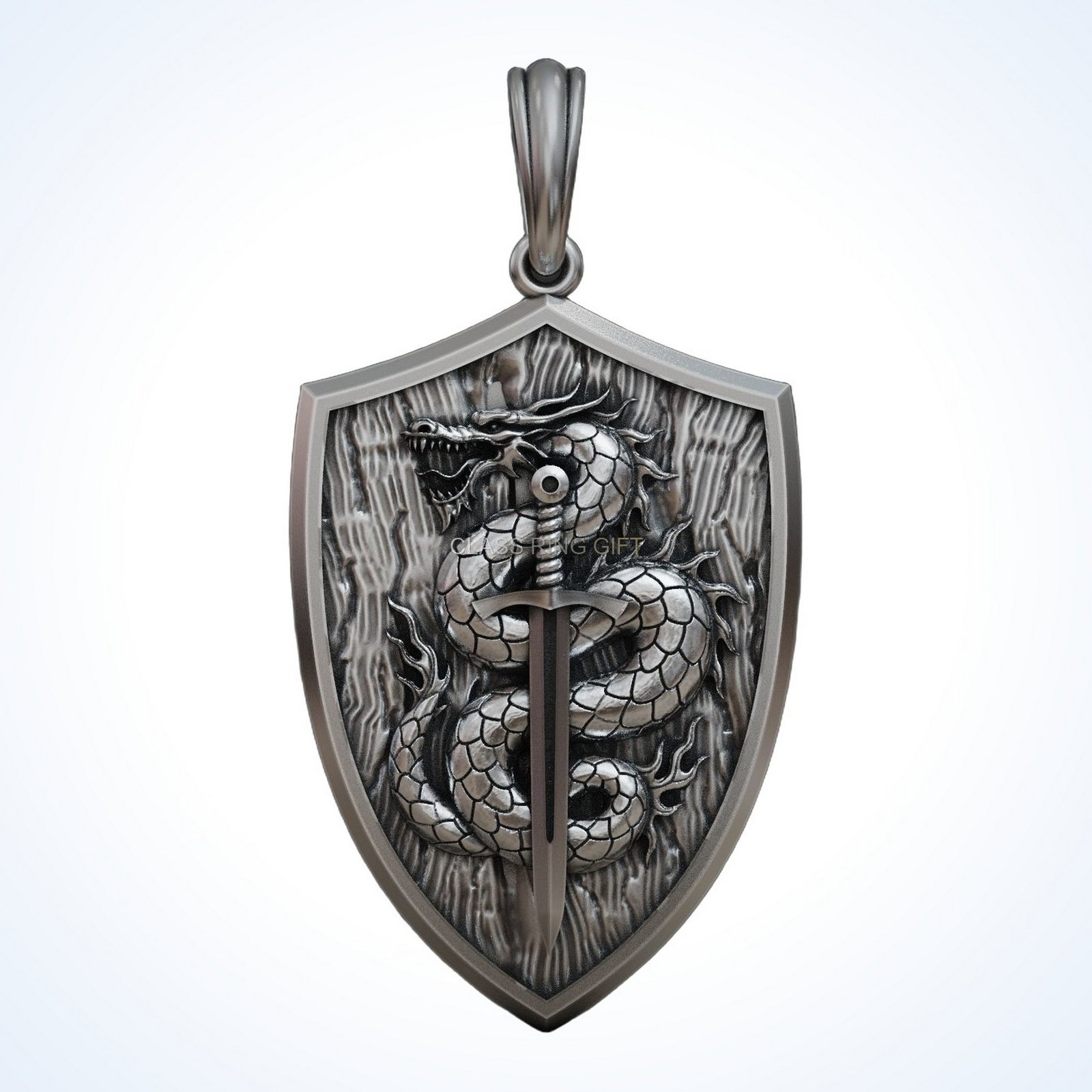 Gift for him dragon sword, direct front face with textured border detail