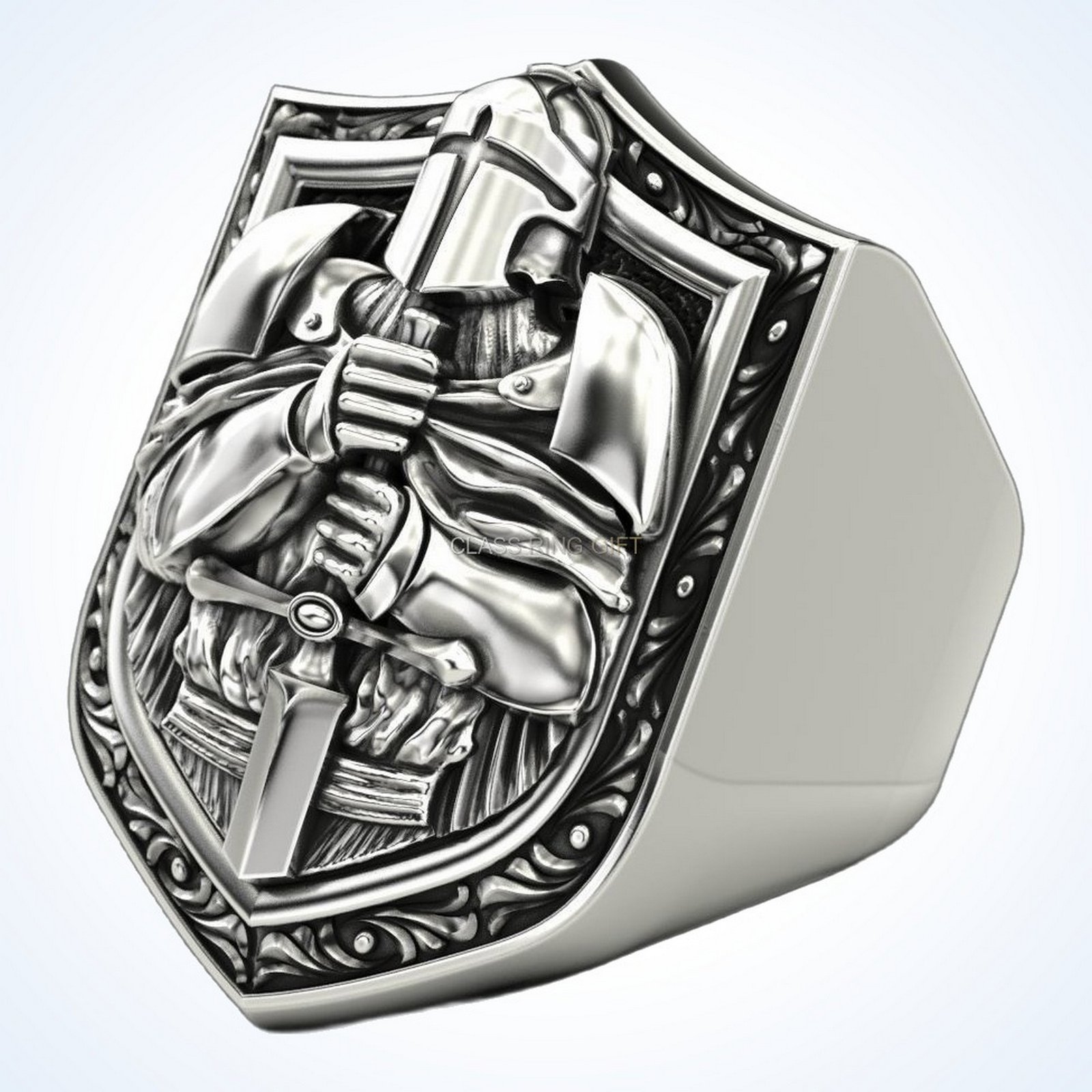 Gift for him knight ring, left side profile band and shoulders