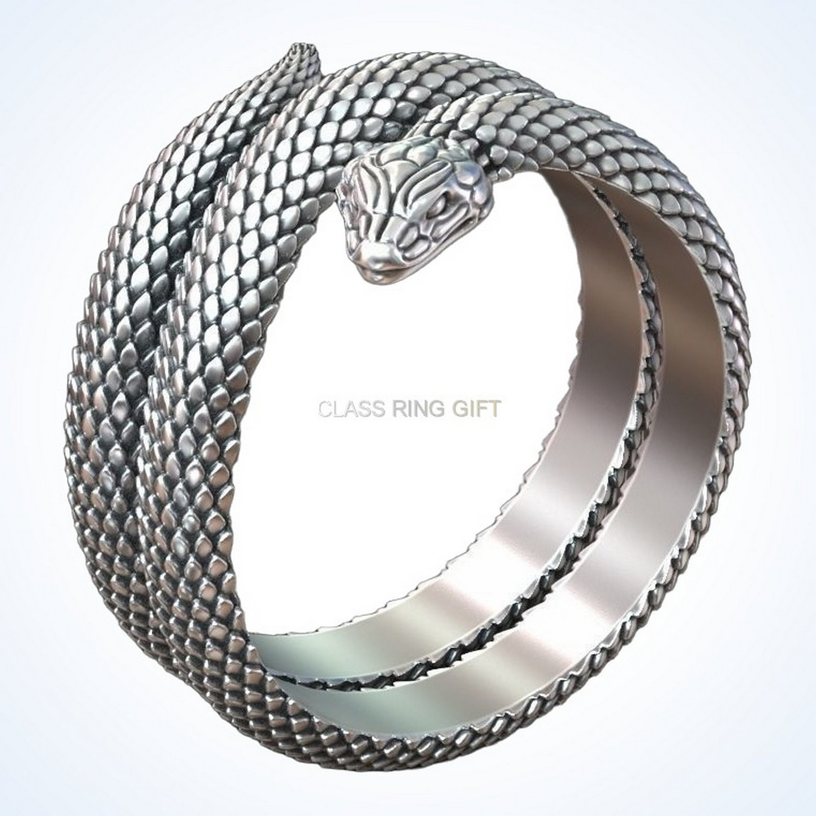 Gift for him snake serpent, side profile showing coil and scaled band structure