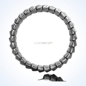 gift for him scales of the dragon bracelet, oxidized 925 sterling silver
