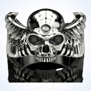 gift for him skull wings ring, 925 sterling silver with feathered sides